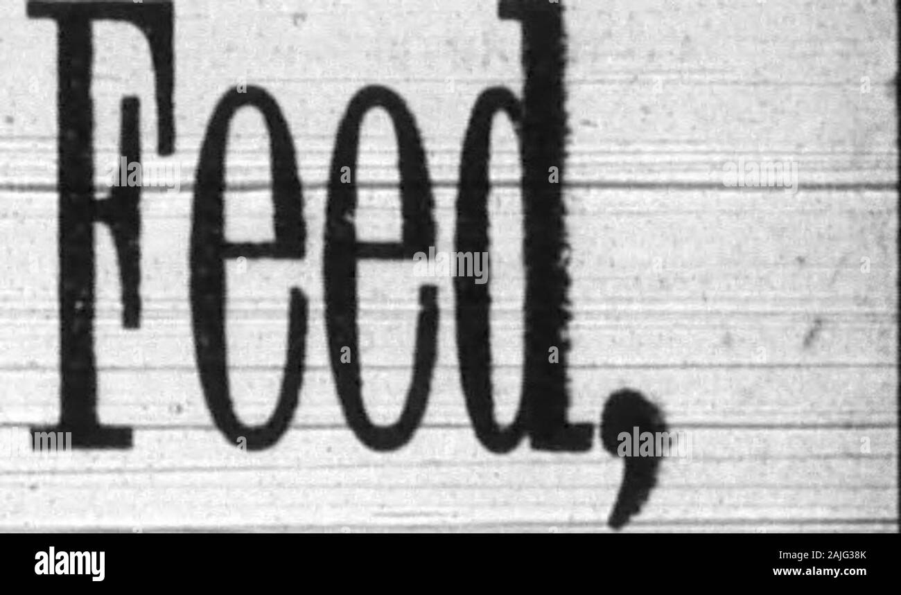 Boone County Recorder . N.F. SCOTT CHAMBERS, Walton, KY. Imbalsamatore & direttore funebre, livree, imbarco Sr vendita stabile. -^Prima Classe trivelle per il noleggio a tutti i tempi. -^rivenditore di alta classe cablaggio e cavalli da sella^lfci  Raymond città del carbone per la vendita a tutti i tempi. RIDQEVIEW ALLEVAMENTO contea di Boone. Ky.BKEBDKR Aberdeen-Angus di bestiame e Ilnroc Jersey suina. Cicogna per la vendita. Indirizzo railW o. W. COCHRAN, Mir. ? Delhi, Ohio. (Camere Farm.) in vendita^ Drug Store e casa di abitazione.Si applicano a S. C. BUCHANAN. trer POSTED- Notiee è qui dato che il mio prop-erty noto un" Laughery isola è post-td anai Foto Stock