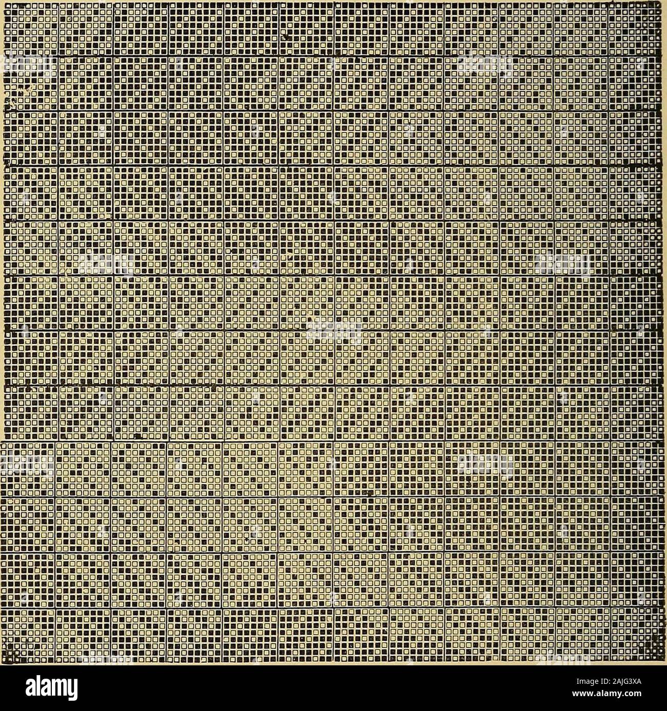 Tessitura di cotone: il suo sviluppo, principi e pratica . numeri, o meglio ancora di essere accuratamente accertato damezzi che sarà trovato descritto altrove in thesepages. Se nel campione presentato per la dissezione theselvages sono assenti, i fili di ordito può di solito essere dis-tinguished dal filo di trama essendo più difficile twisted, da thesize su di loro e generalmente per di più grossolane di conta.I campioni vengono talvolta dissezionati estraendo la warpthreads e lasciando in inserzioni di trama. Chiudiamo questa sezione con un'illustrazione, fig. Ill, del modo in cui le armature semplici che hanno beenexpounded Foto Stock