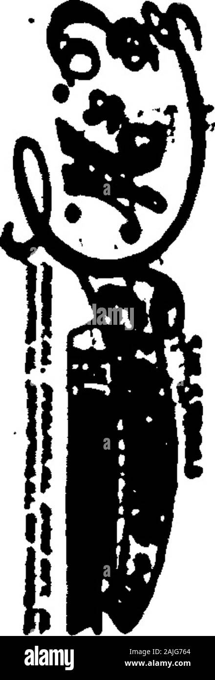 1921 Des Moines e Polk County, Iowa, Città Directory . studente Drake University rms 1115 24thReike Edwd cook misericordia HospitalReiley Apts 1534 Woodland avReiley Bernard res 615 16thReiley Ca^olyn^bd8 731 20thReiley Richd bds 731 20thReiley Robt L (Saml D Page & Co) res 731 20thReilly vedi anche Rielly e RileyReilly C F slsmn Warneld-Pratt-come ell Co res Carroll laReilly FIRENZE E bds 1534 4thReilly Frank B stampante registro & Tribune res 217 Indiana avReilly Henry W slsmn Flynn Dairy Co res 1539 Maine Reilly Jas H (U S A) bds 715 Davis avReilly Maria c stenog Parrish Cohen & Guthrie bds 1534 Foto Stock