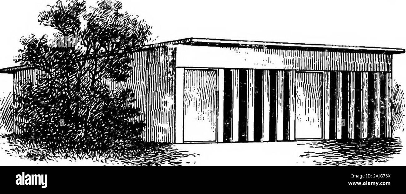 La faraona bantam; una descrizione degli standard di tutte le razze e varietà di bantams e di nuove razze che stanno diventando popolari .. . Oods con le galline in gabbie orsmall giù verso il basso le case che sono quattro o cinque metri quadrati. Alllive insieme in queste case. Quando il vecchio abbastanza andchicks galline hanno la loro libertà. Di solito queste galline drop off oneat un tempo fino a quando finalmente l'intero lotto di seguire una gallina. Metodo Bythis alcuni una delle galline di solito soggiorno conla pulcini per otto o nove settimane. Si preferiscono di gran lunga CochinBantams per mamme per tutti Bantams. 64 I polli BANTAM. Metodi moderni.Il Bantam di fantasia di al-giorno Foto Stock