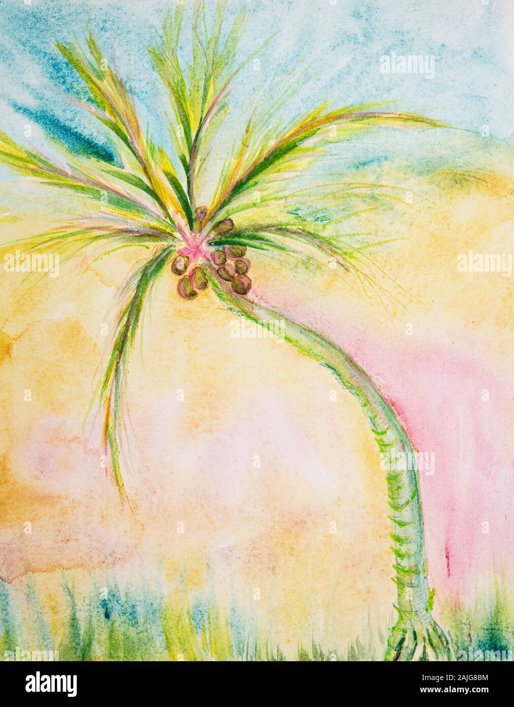 Coconut Palm tree con sfondo arcobaleno. La tecnica di tamponando vicino ai bordi dà un morbido effetto di messa a fuoco a causa di alterata la ruvidità di superficie del Foto Stock