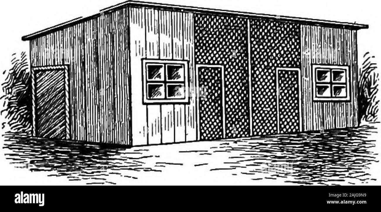 La faraona bantam; una descrizione degli standard di tutte le razze e varietà di bantams e di nuove razze che stanno diventando popolari .. . FIG. 2-fatta fuori i prodotti asciutti BOX. 62 IL BANTAM FOWI... FIG. 3-casa di pollame con coperte Esegui. li hanno così grande, ma troppo non può essere detto a favore ofdry quarti per Bantams. Molti dei problemi di pollame-uomini può essere tracciata per smorzare i quarti. La ventilazione subiranno domuch per porre rimedio a questa situazione, ma il drenaggio deve essere buona e leviti deve essere diretto lontano dalla casa. Un po' in avanti il pensiero in questo particolare farà risparmiare molta preoccupazione. Noi li havehad dormire la notte in un negozio Foto Stock