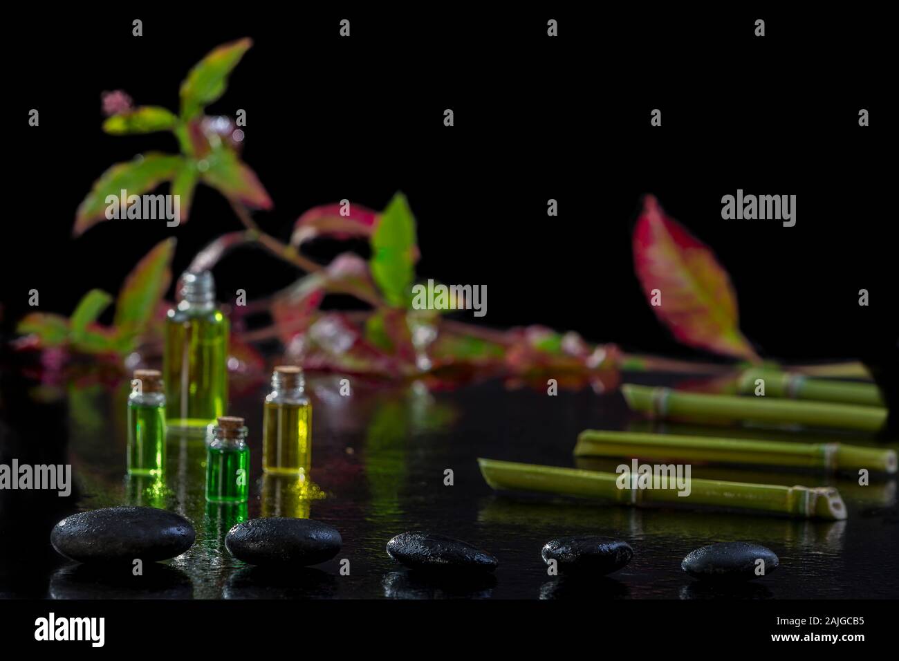 Bella composizione spa zen con pietre di basalto di bambù e piante di olio essenziale e fiori su sfondo nero Foto Stock