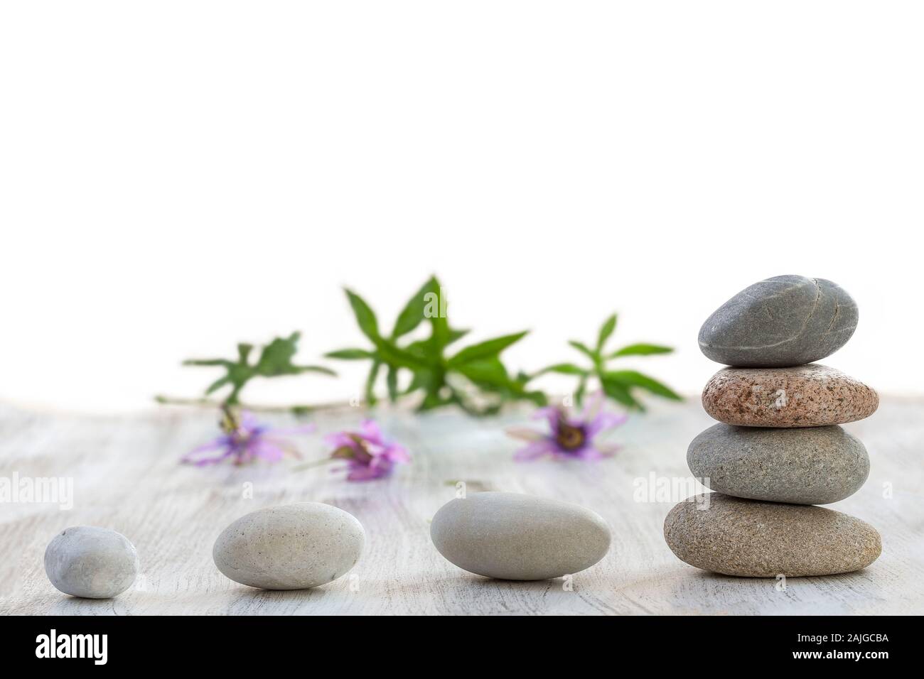 Spa ancora in vita di passiflora fiore su pietre zen closeup su sfondo bianco Foto Stock