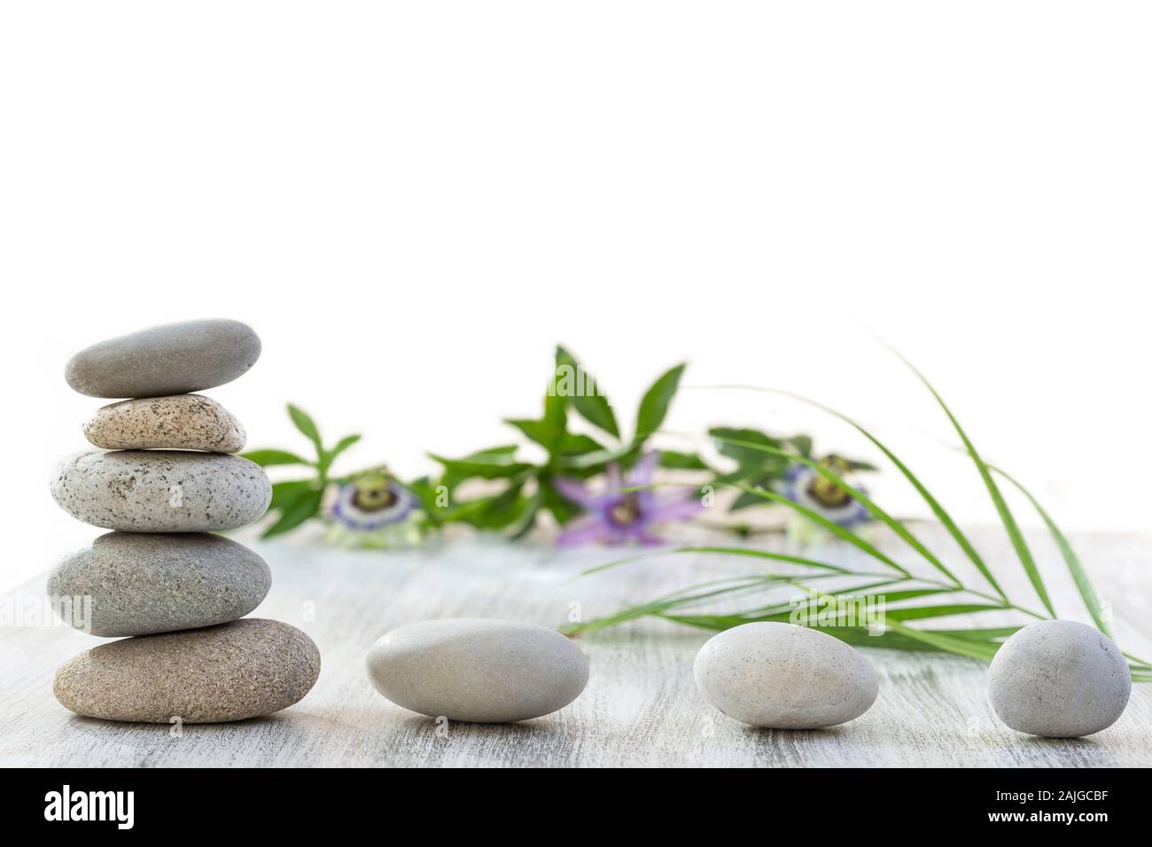 Spa ancora in vita di passiflora fiore su pietre zen closeup su sfondo bianco Foto Stock