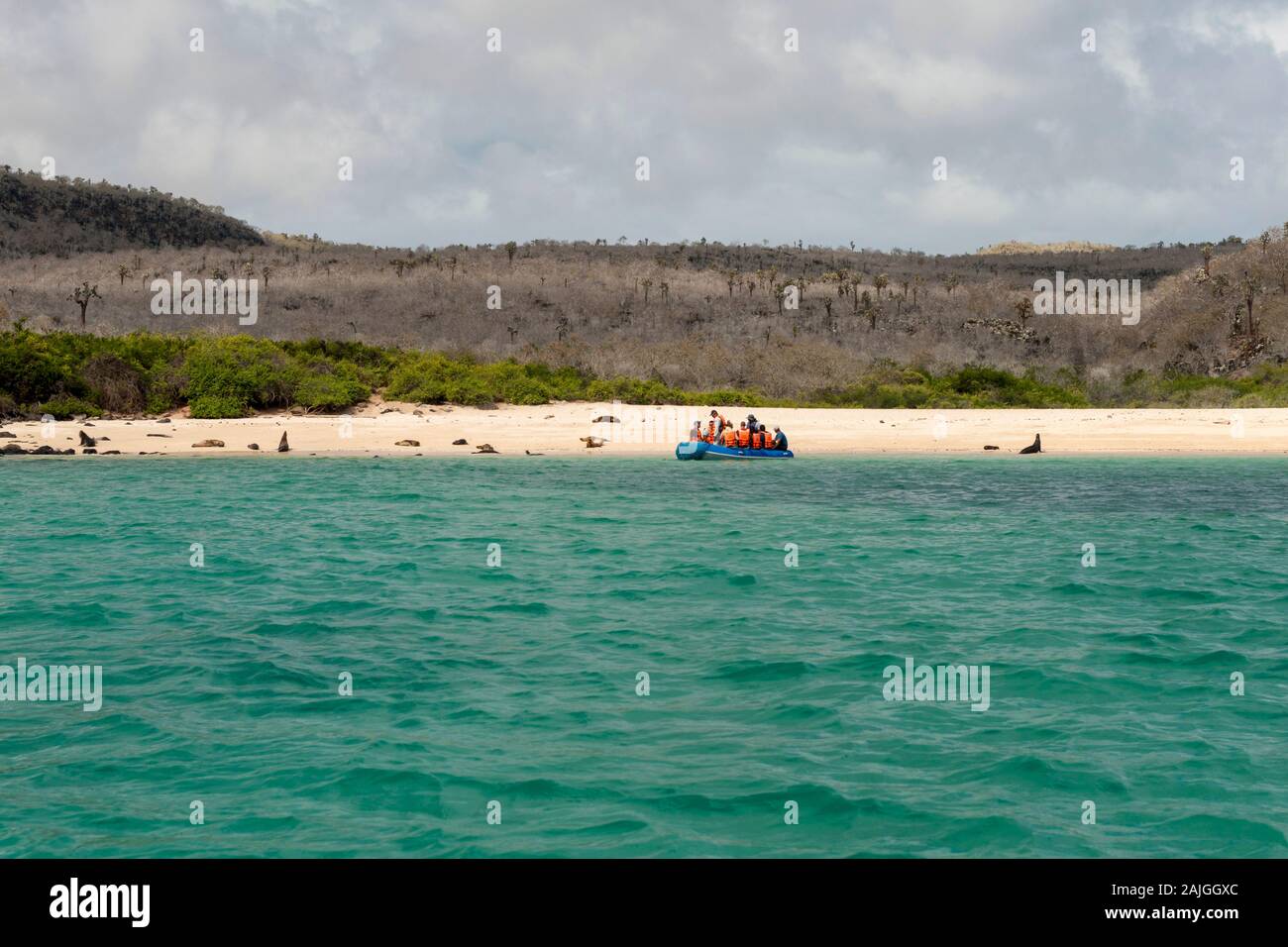 I turisti su un dinghy arrivando a Sante Fe isola, Galapagos, Ecuador. Foto Stock