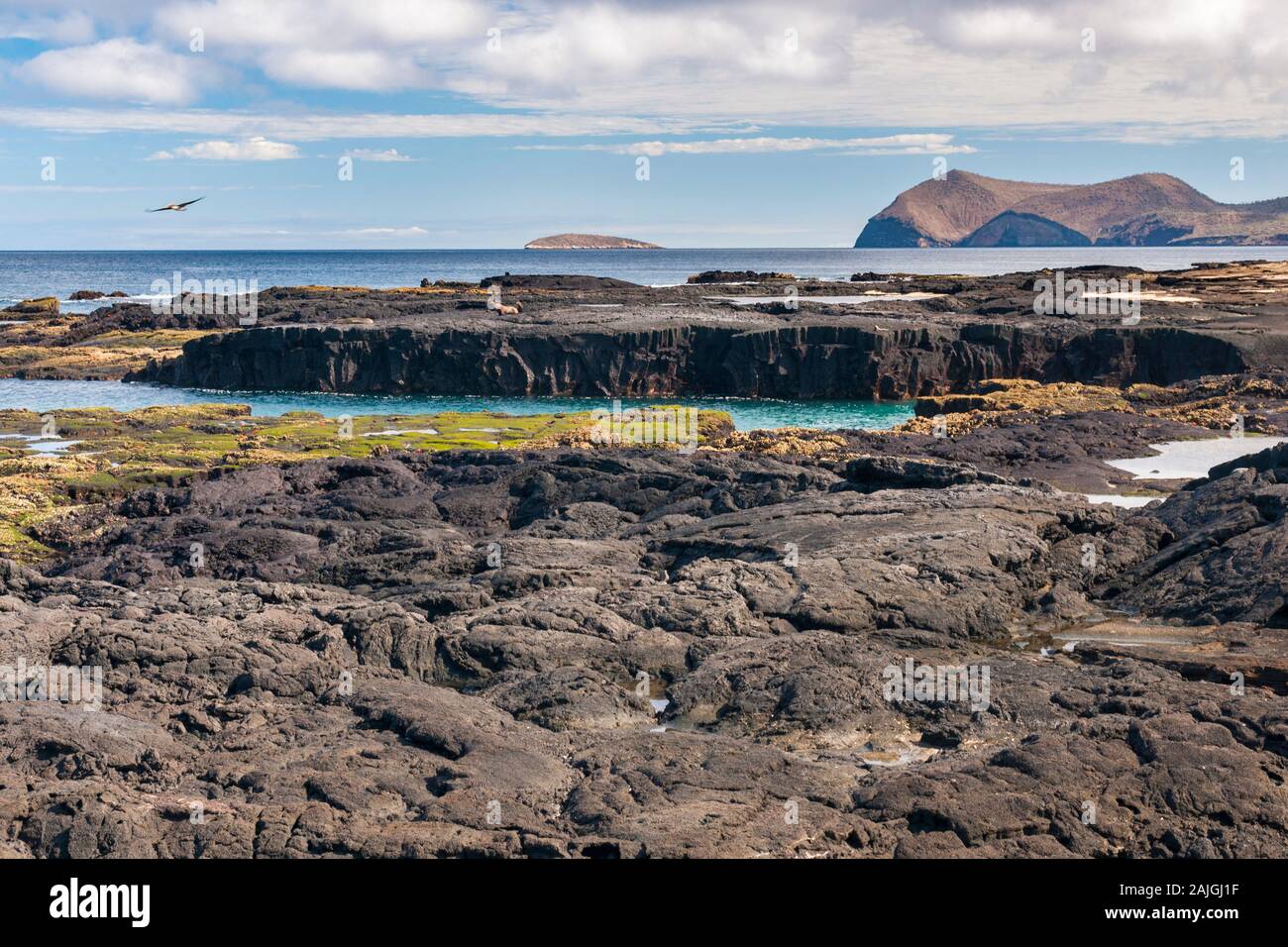 Il paesaggio costiero dell'isola di Santiago, Galapagos, Ecuador. Foto Stock