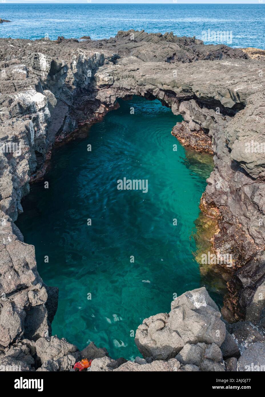 Il paesaggio costiero dell'isola di Santiago, Galapagos, Ecuador. Foto Stock
