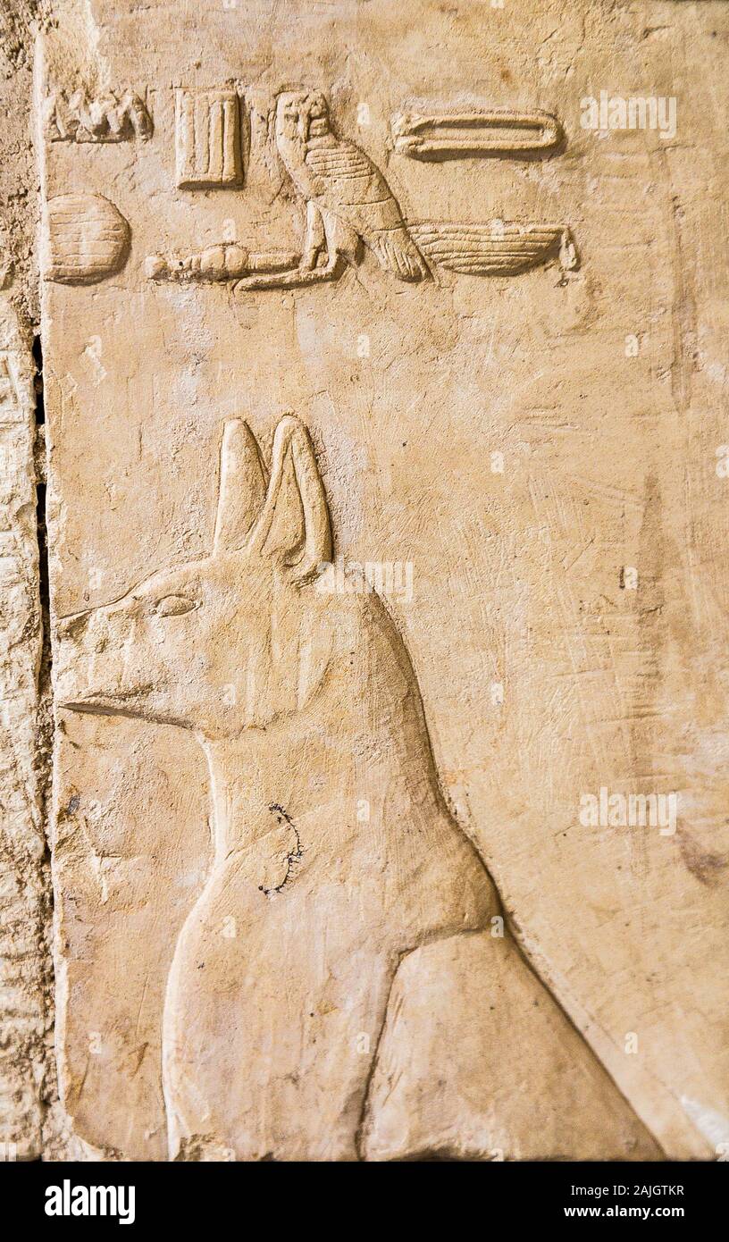 Patrimonio Mondiale dell'UNESCO, Tebe in Egitto, Assassif (parte della Valle dei nobili), Tomba di Anchhor. Il cane del comandante. Foto Stock