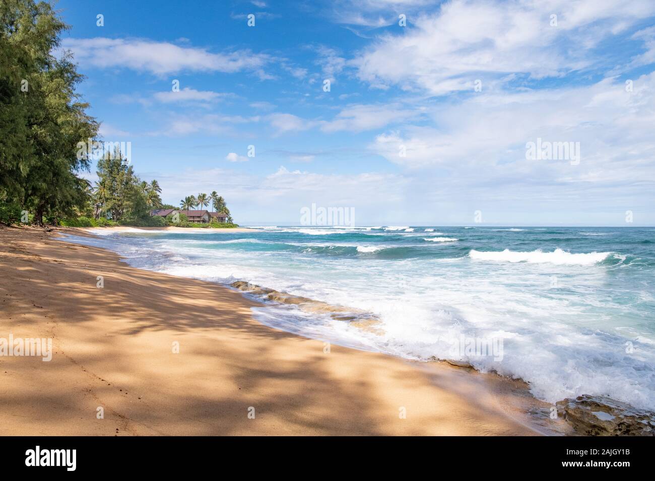 Scena che guarda lungo la spiaggia di Lumahai a Kauai Hawaii, USA Foto Stock