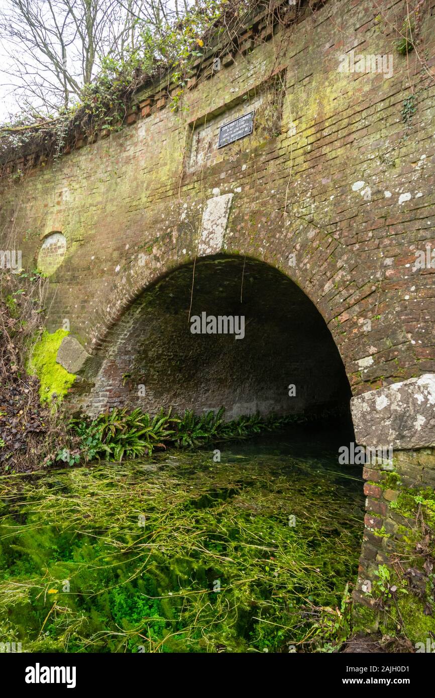 Tunnel Graywell sul Basingstoke Canal, ora un sito importante per la modalità ibernazione pipistrelli, Hampshire, Regno Unito Foto Stock