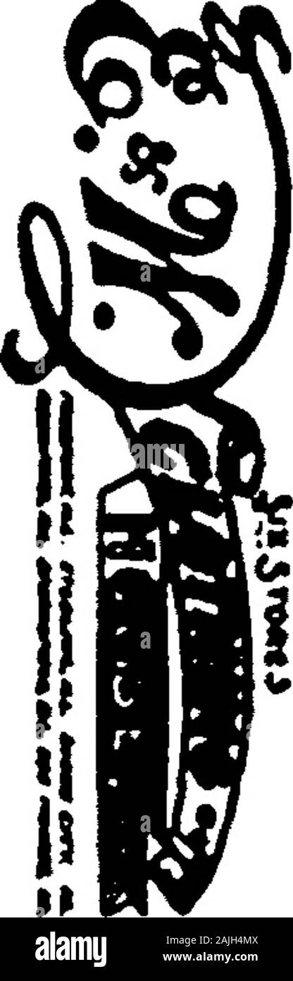 1921 Des Moines e Polk County, Iowa, Città Directory . t Drake University bds 1011 1° piOwen W Earl miner res 1021 e 12thOwens Alma r opr elev Home-stead res 9 Normandia AptsOwens Arch e trav rms 717 4thOwens una bava carp res 217 ClarkOwens Chas W rms mach 1638 16thOwens Claire e ancora studente di college di osteopatia bds 1611 LocustOwens Cora onorevole res 2915 3d Owens Dennis M lab res 2818 DesMoines Owens Edwd (c) laboratorio bds 915 torace-dado . Owens Edwd W mach BrosThesher legno Co res 609 vista piacevole Owens FRANCESCA E bkpr Iowa BoilerWks bds 1502 8° Owens Harriet (wid Luigi D) res 1611Locust Owens ha Foto Stock