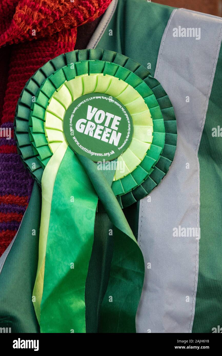 Voto rosetta verde - Scottish verdi, Scotland, Regno Unito Foto Stock