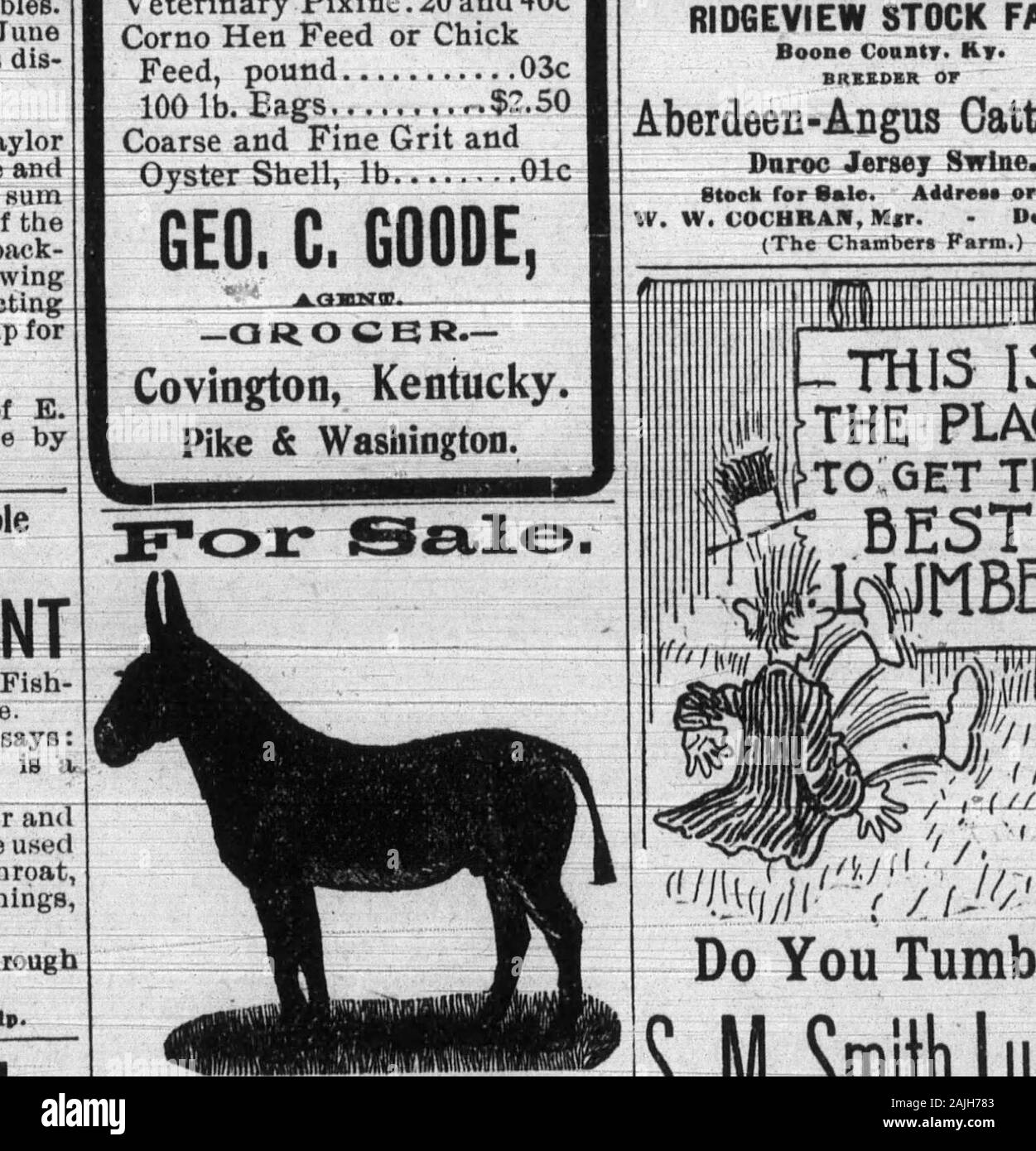 Boone County Recorder . Residence 1552 Scott St,COVINGTON, - - Kentucky. Phoae, calmare 1948. Vista Cresta allevamento contea di Boone- Kt* ALLEVATORE OT Aberdeen-Angus bovini e Dnroc Jersey suina. Magazzino per la vendita. AMree* o eallW. W. COCHRAH, M"r. - Delhi, Ohio. (Camera* Farm). Equitys Innanzitutto trattare, A. S. di E.Plug e Equity Twist, in vendita byGeo. C. Goode, Covington, KY. Cosa Boone County persone -dire di- NSHEmiNlME Thats buona pomata lenitiva, che il pesce-ers pomata lenitiva.-M. F. Wingate."A, W. Smith, Walton, Ky., dice:UI credono pescatori pomata lenitiva è good piecenf merci.     Frank Robbins, di polvere da sparo andLawren Foto Stock