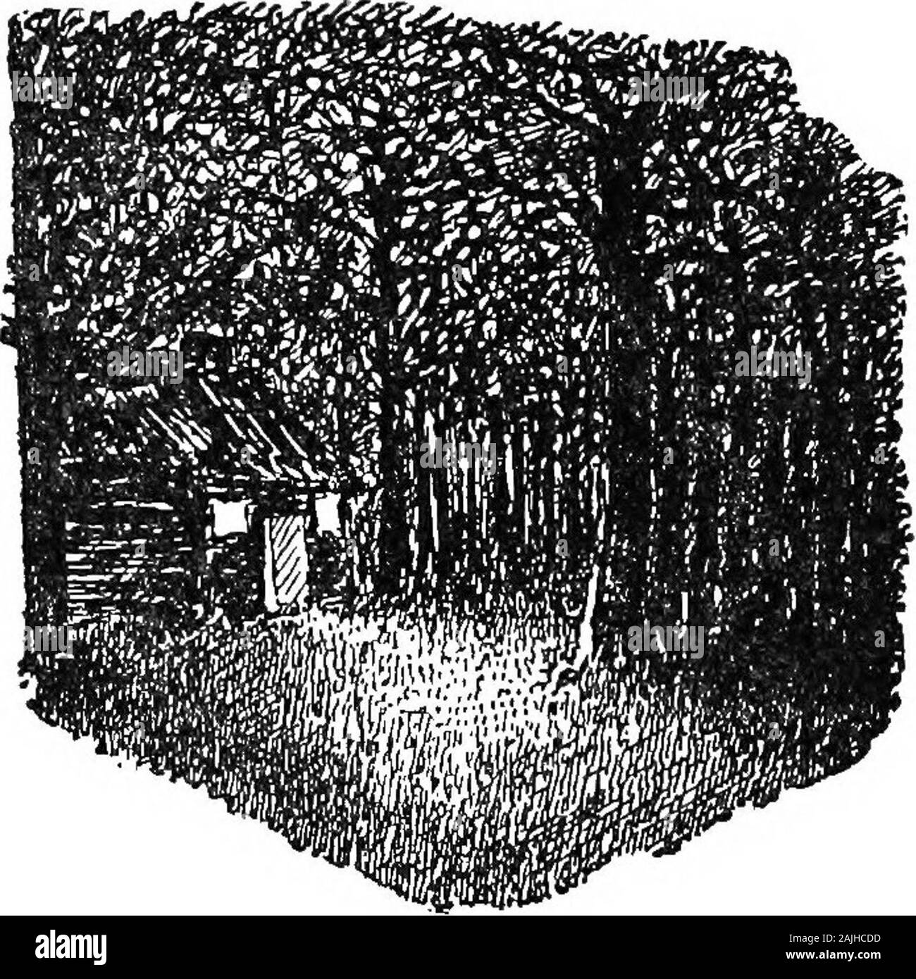 I quattro uomini; un farrago . e la sua felicità. Il poeta. Credo che lei deve essere sbagliato. Me. Ebbene, poiché sapete, whatis la cosa migliore nel mondo? Poeta TTie. Si tratta di una miscela in cui devonoessere mescolati e miscelati intimamente greatwads di inaspettata denaro, Nuovi paesaggi,e il ritorno di vecchi amori. Il Marinaio. Oh, sentire lui con la sua vecchia returnof ama! Tutti i prossimi in processione, twoby due, come il vecchio cameriere di Midhurst truppa-ing al di fuori della chiesa di una Domenica mattina!Uno potrebbe pensare che egli aveva ucciso un centinaio di withhis occhio! Grizzleheard. Tutti voi giovani uomini talkfolly. La cosa migliore nel mondo è il sonno Foto Stock