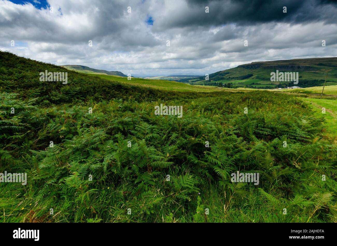 Il paesaggio nelle Highlands scozzesi Scotland Regno Unito Foto Stock