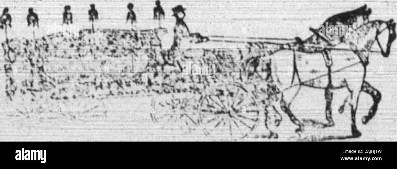 Boone County Recorder . B. Allphin Scott camere. ALLPHIN & CAMERE, Walton, Kentucky. Imprenditori andEnbalmeps. ^^ L.IVERY, imbarco e alimentazione 5tabl.E. Prima Classe per impianti di trivellazione di noleggio presso tutti i tempi.i concessionari in alta classe cablaggio e cavalli da sella, anche mulo""|Raymond Città Cnni un Soecialty. Phone 22^. Y mm ? R?. E tenute Elia, Profeta Ike, PRC.rr.de Dana* (egli T""n di carestia. Storia dalla autostrada ANDBYWAY predicatore 17 (Copyright, llKa, da U" Autore, W. S. F,,|.,", ) Scrittura competente -I Kingsand decimo versetto del capitolo 18. ++ ++ + + 1 +++ + t * I +- ++ * ** * SERMONETTE.Elia vissuta nello spirito ec Foto Stock