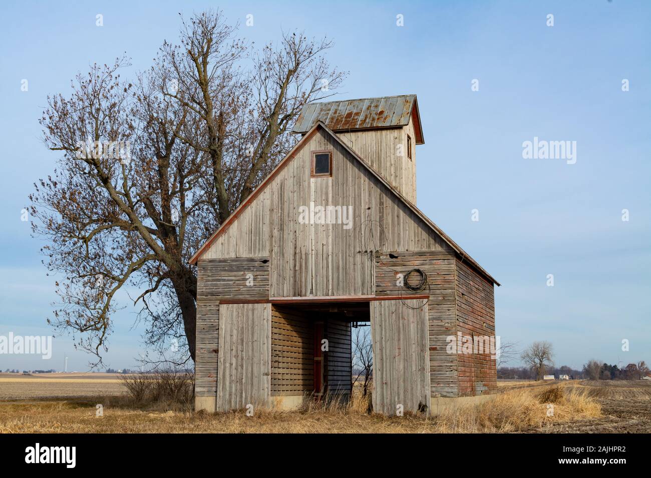 Antico presepe di mais in campo aperto. Ufficio di presidenza County, Illinois, Stati Uniti d'America Foto Stock