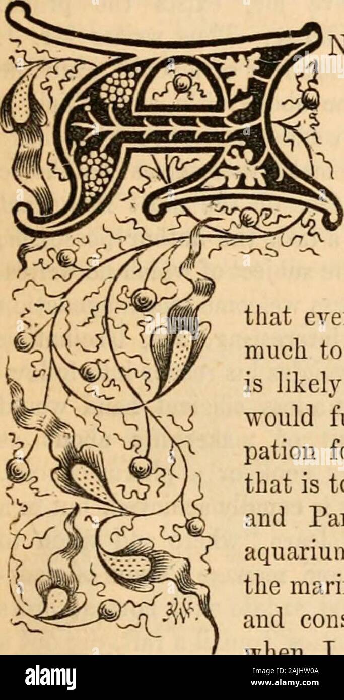 Hardwicke di scienza-gossip : Un mezzo illustrato di interscambio e di scandalo per gli studenti e per gli amanti della natura . EXPOSITION UNIVERSELLE, 1867. Per me il giorno geniale, la felice folla,l'sport semi-scienza, mi riempiono di una fede.Questo bel vecchio mondo della nostra è ma una childYet in go-cart. La pazienza! Dargli tempodi imparare le sue arti : esiste una Mano che guida. T/ic principessa. Naltri e filialstroll attraverso theParis Exhibition ena-ble me per aggiungere un fewmemoranda a thenotes appearedin che il numero di maggio.it deve essere premisedthat tutto asmuch approcci verso il completamento come itis probabile a Foto Stock