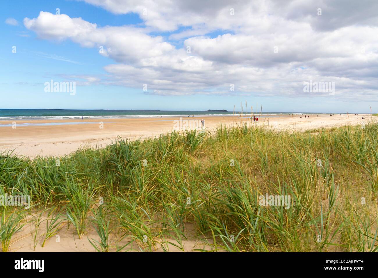 La lunga spiaggia sabbiosa di Bambburgh Beach a Bamburgh Northumberland UK Foto Stock