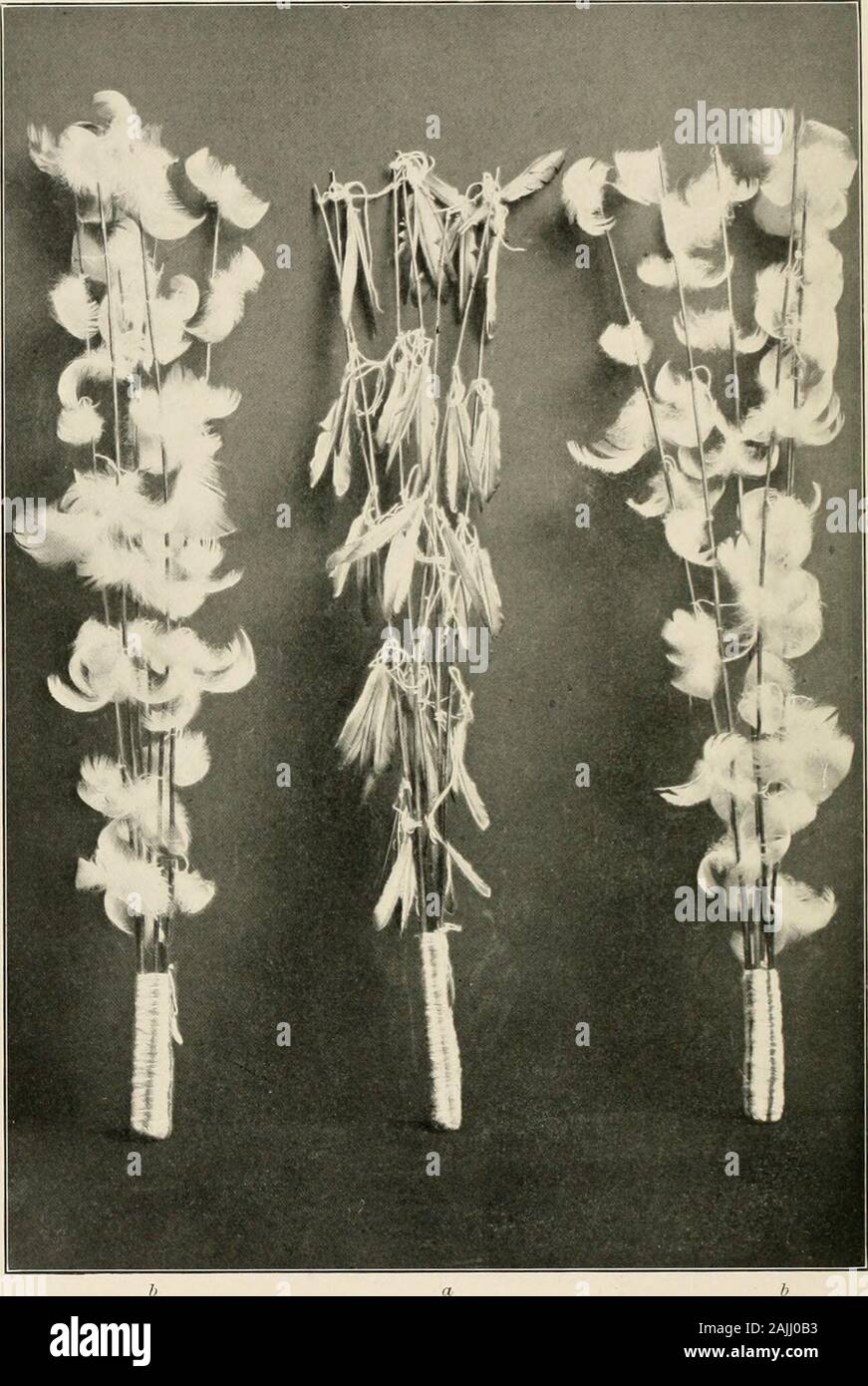 Relazione annuale del Bureau of American etnologia al Segretario dello Smithsonian Institution . Cestello con pasto attraversata e circondata con polline di mais, SYMBOLICOF le quattro regioni e il mondo intero Bureau of American etnologia Ventitreesima relazione annuale PL. CXIl. a, antica HLAWE; /-, HLUSIPOWE, feticci del HLEWEKWE, la spada SWALLOWERS STEVENSON) ^hlewekwe 475 grappoli di 3arn legato attorno al di sotto del ginocchio, con sleigh bellshanging, e danza mocassini. Le ancelle di tenere un hlu.sipone ineach mano (vedere cxii piastra b, c). Il 3sud tiene il suo niili l&GT;ctweenhis mani. Il Muwaiye anticipo Foto Stock