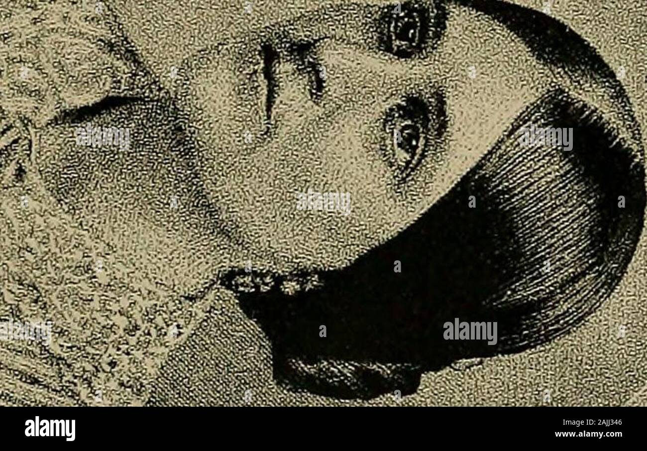 Xix secolo i miracoli, o, alcolici e il loro lavoro in ogni paese della terra : un completo Compendio storico del grande movimento noto come 'moderne spiritualismo' . HX HC/5. -^r.^iffry Foto Stock