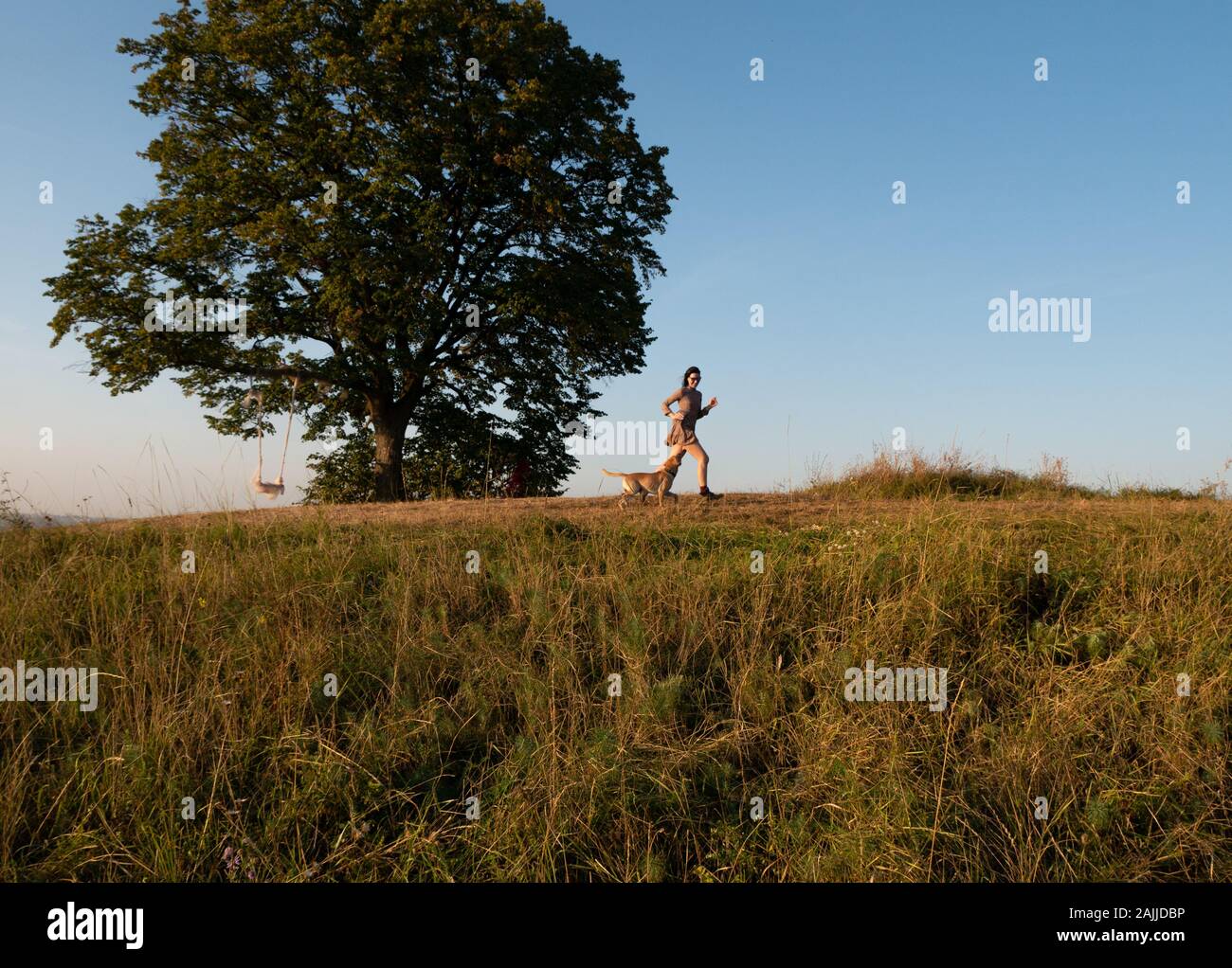 Adorabile ragazza giovane giocando in esecuzione con il suo simpatico cane sulla natura durante il tramonto Foto Stock