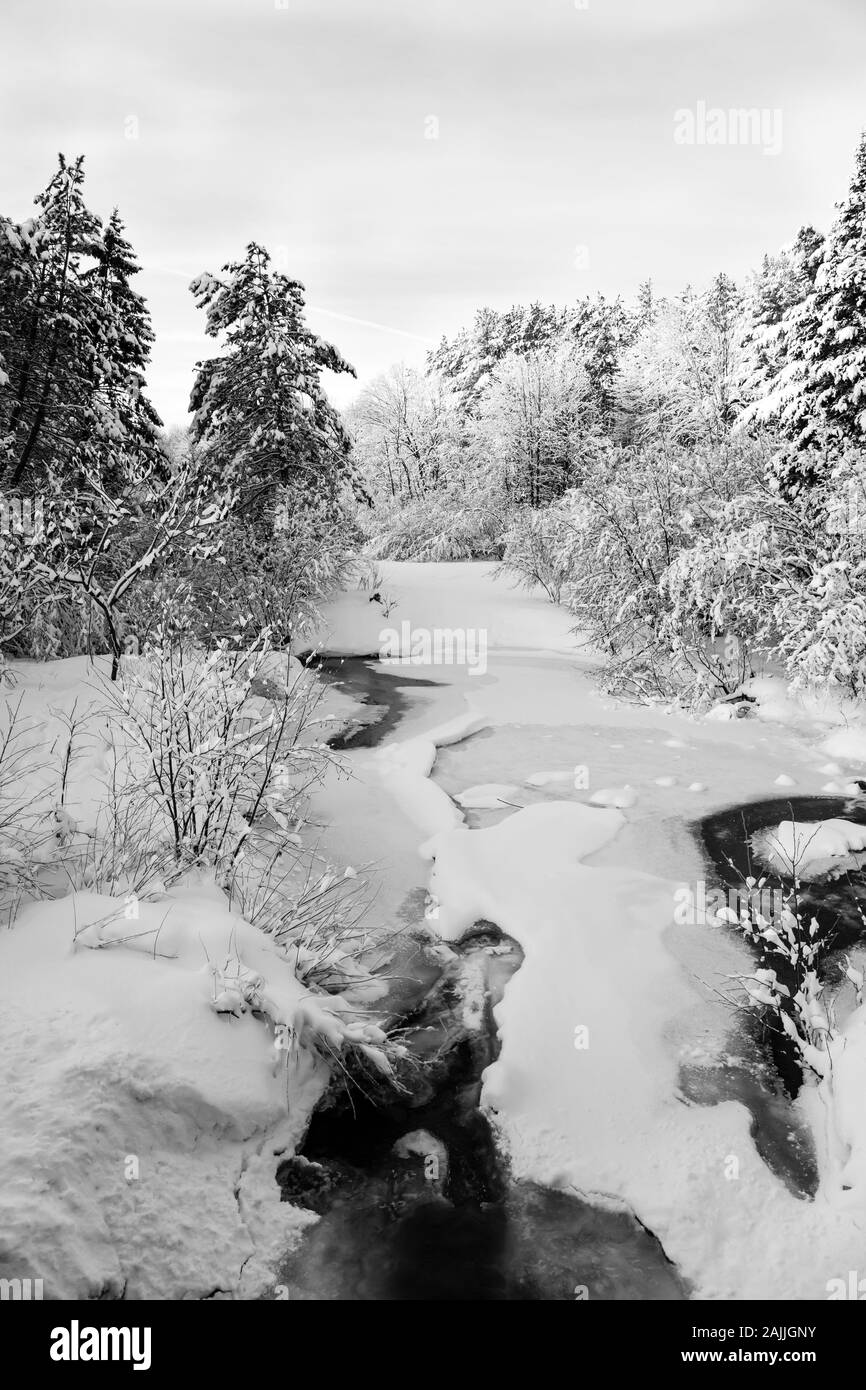 Coperta di neve fiume in una foresta di Wisconsin in gennaio con il blu del cielo, verticale B&W Foto Stock