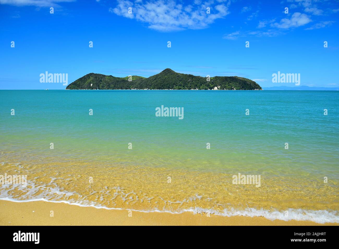 Il Parco Nazionale Abel Tasman. Isola di pescatori in un oceano turchese. Nella parte anteriore di una spiaggia di sabbia dorata. Nuova Zelanda, Isola del Sud. Foto Stock