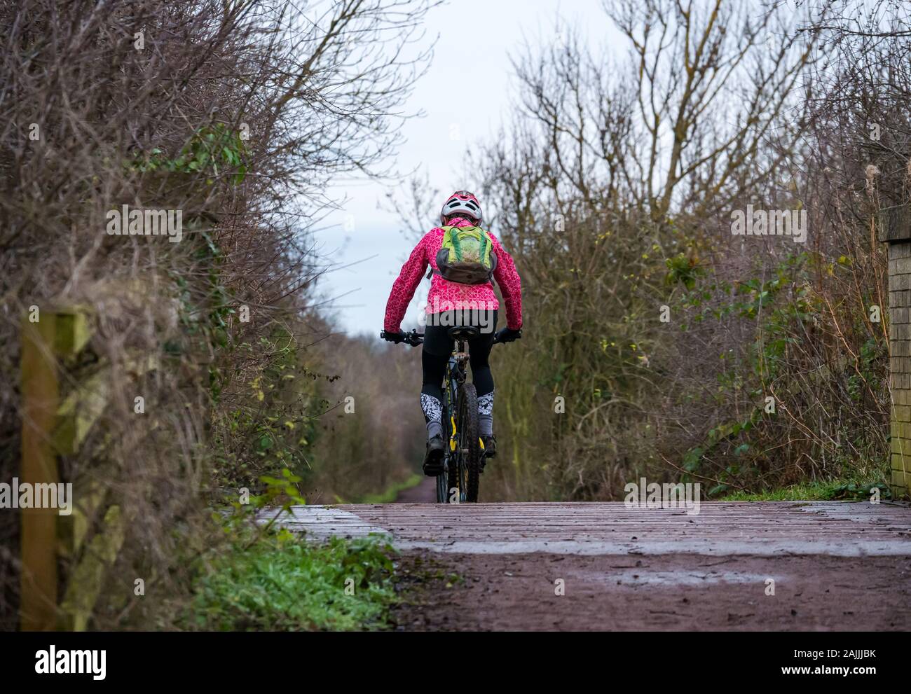 Femmina di mountain bike ciclista su terreni fangosi percorso ferroviario percorso in bicicletta che va oltre il percorso ferroviario ponte, East Lothian, Scozia, Regno Unito Foto Stock