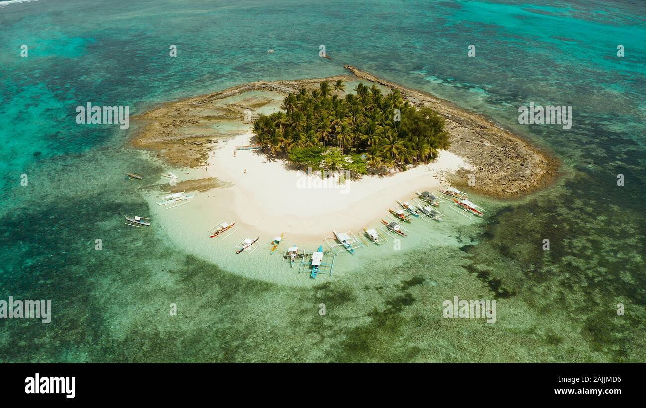 Paesaggio tropicale: Guyam isola con splendida spiaggia, palme da acque turchesi vista da sopra. Siargao, Filippine. Estate viaggi e concetto di vacanza Foto Stock