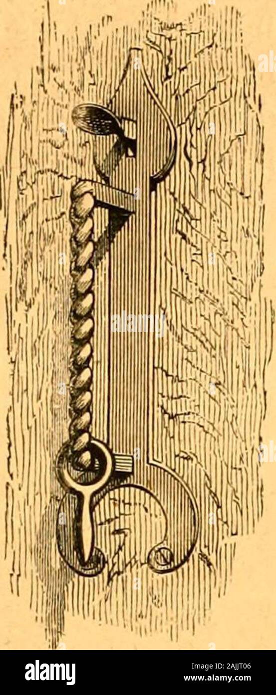 Tradizioni di Edimburgo . ip o bar ofiron, a partire dalla porta verticalmente, seghettato sull'sidetoward porta, e provvista di un piccolo anello che, beingdrawn approssimativamente lungo le rigature o scheggiature, produce un reticolo harshand suono, per evocare il servo per aprire. Anotherterm per l'articolo è stato un corvo. Nella quarta egloga ofEdward Fairfax, una produzione del regno di James VI. E I.,citato in le muse libreria, è questo passaggio: * Ora, addio Eglon ! Per il sole si china a basso,e chiamando gli ospiti prima le mie pecore-culle porta;Ora rivestito in bianco, vedo il mio porter-croiv ;grandi re oft wa Foto Stock