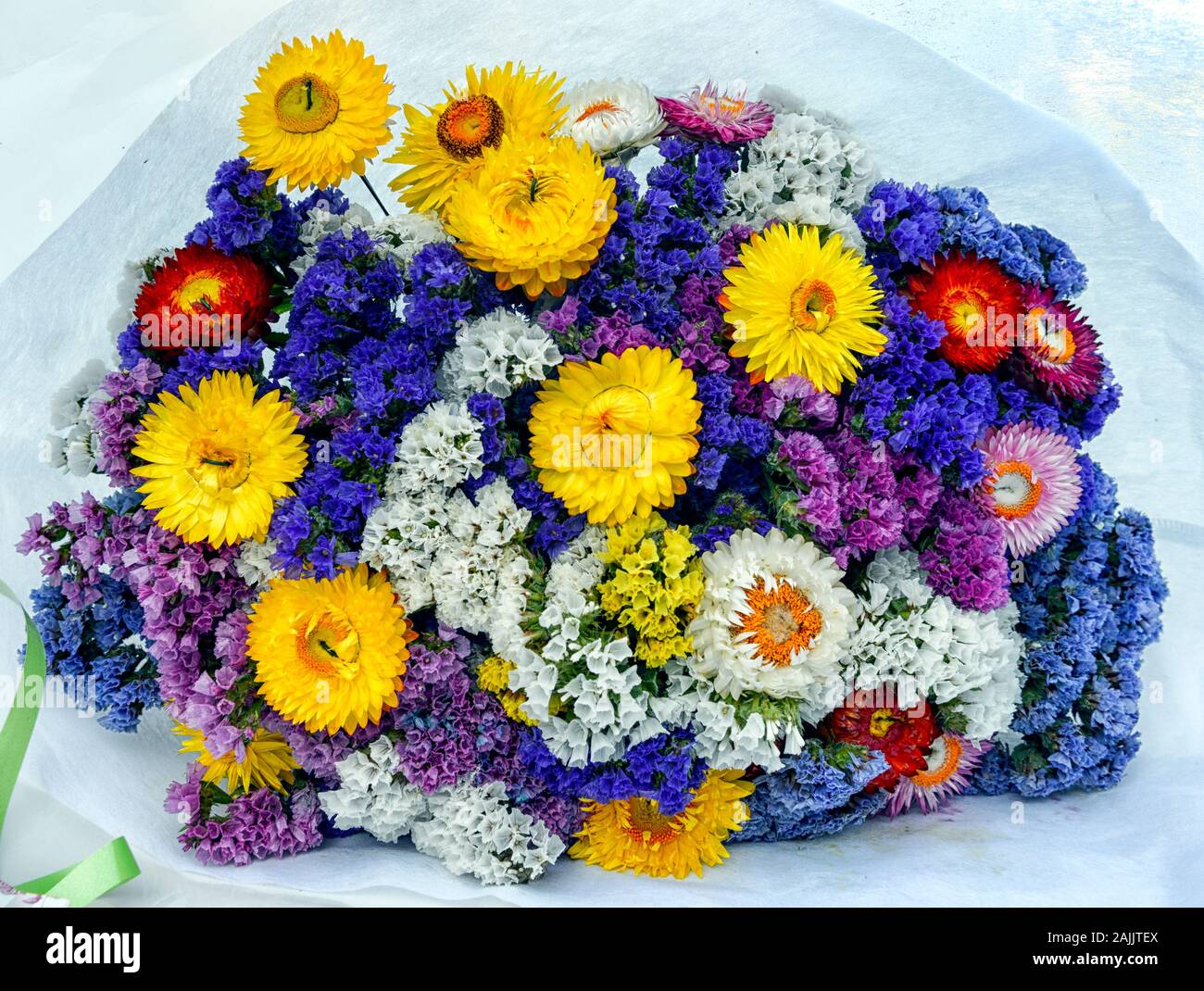 Posia di fiori di campo su sfondo bianco, St Vincent sur Jabron Foto Stock