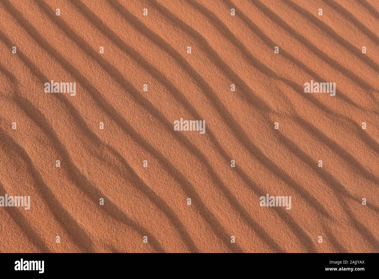 Increspature di sabbia in Erg Chebbi dune di Merzouga, il Deserto del Sahara, Marocco, Africa del Nord. Foto Stock