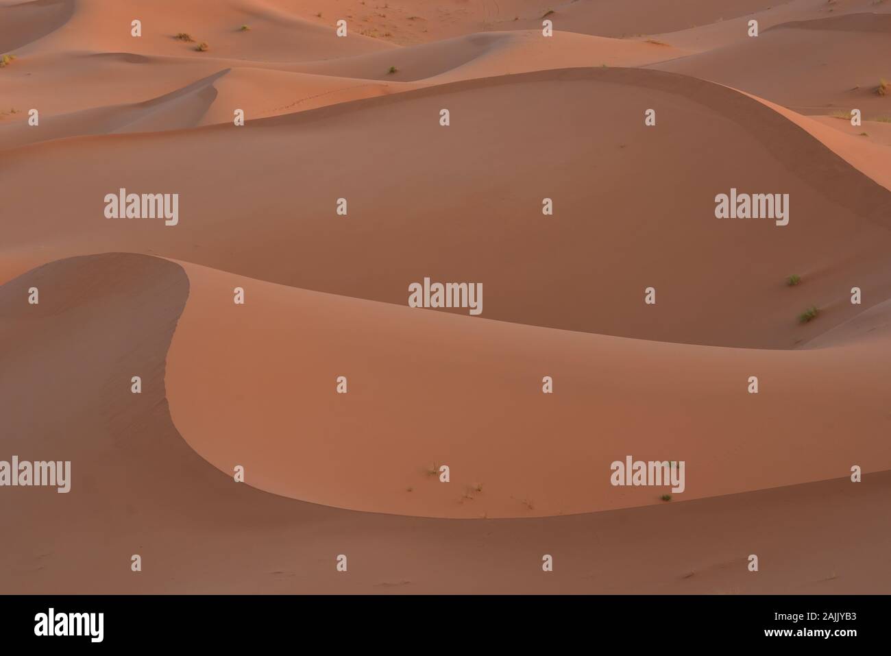 Le mutevoli schemi di sabbia di Erg Chebbi dune di Merzouga, il Deserto del Sahara, Marocco, Africa del Nord. Foto Stock