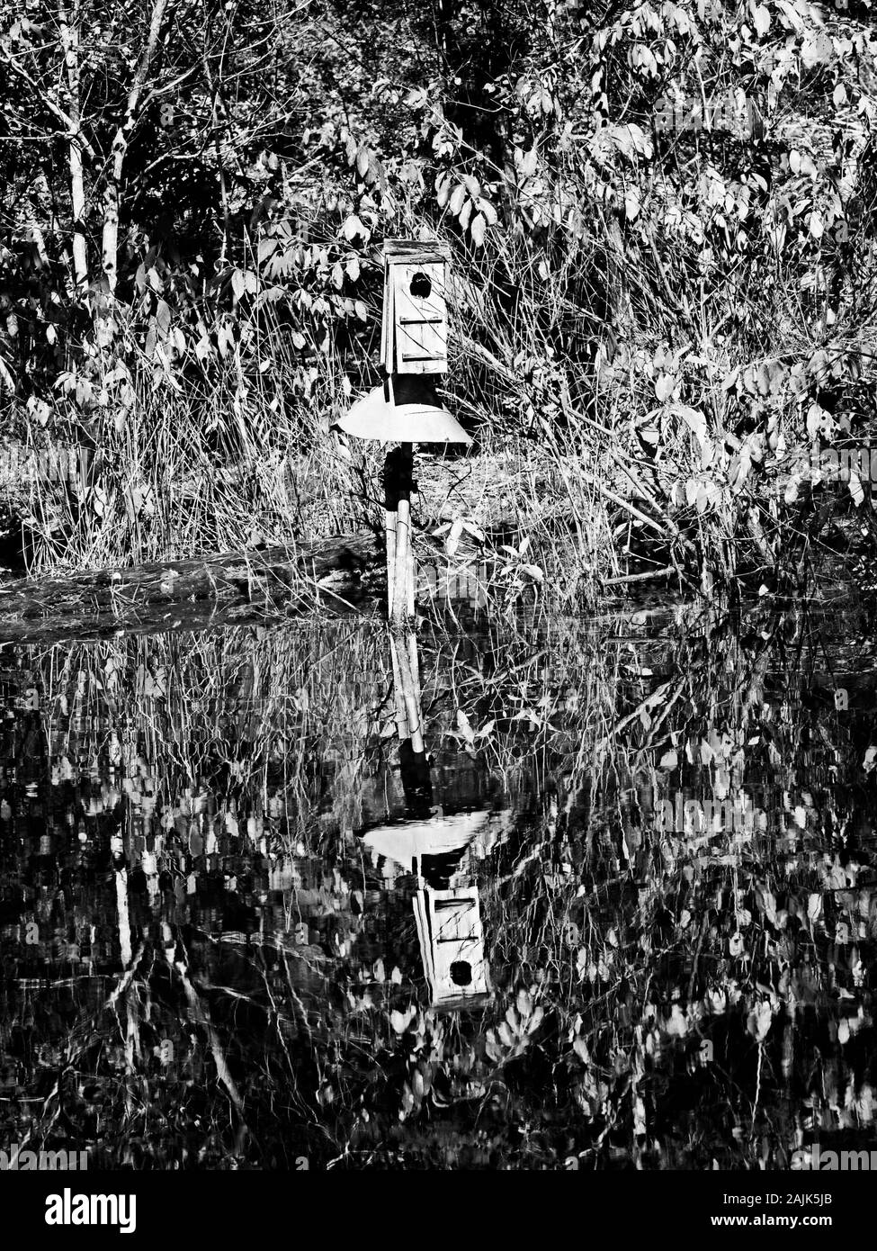 Conroe, TX USA - 11/15/2019 - Birdhouse riflessione nel lago in B&W Foto Stock