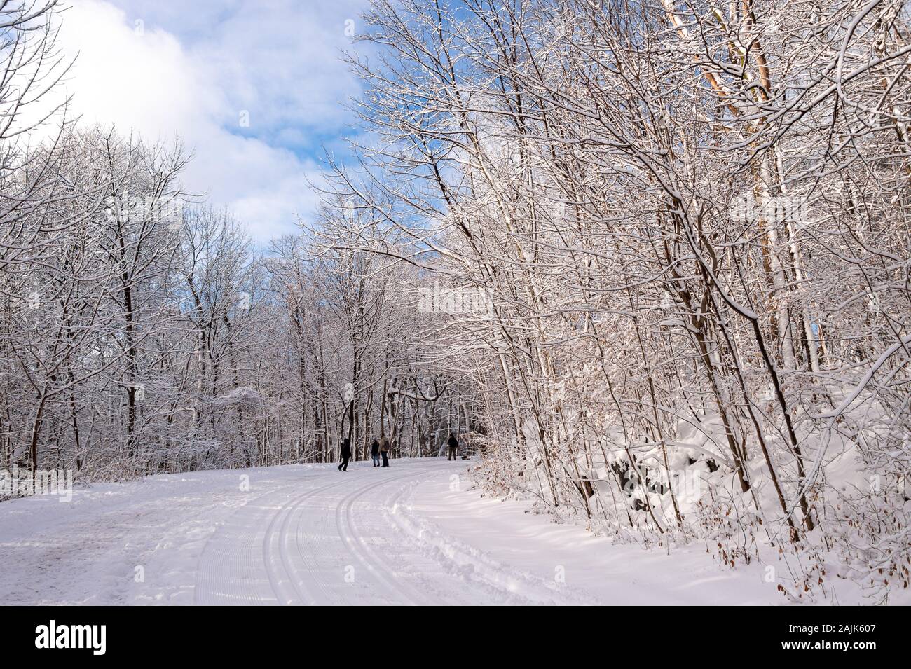 Montreal, CA - 01 Gennaio 2020: la gente che cammina su un sentiero innevato in Montreal del Mount Royal Park (Parc Du Mont-Royal) dopo la tempesta di neve. Foto Stock