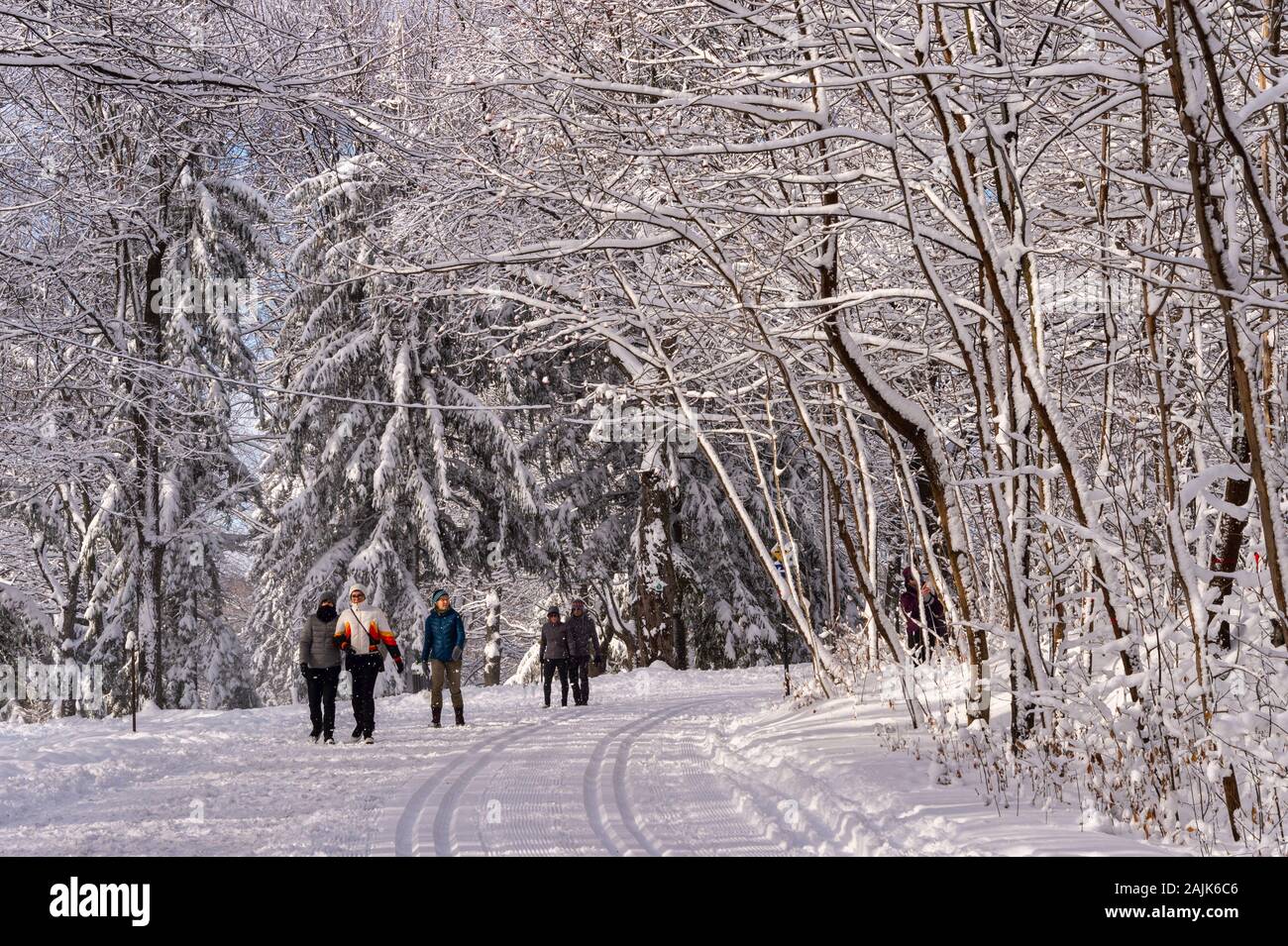 Montreal, CA - 01 Gennaio 2020: la gente che cammina su un sentiero innevato in Montreal del Mount Royal Park (Parc Du Mont-Royal) dopo la tempesta di neve. Foto Stock