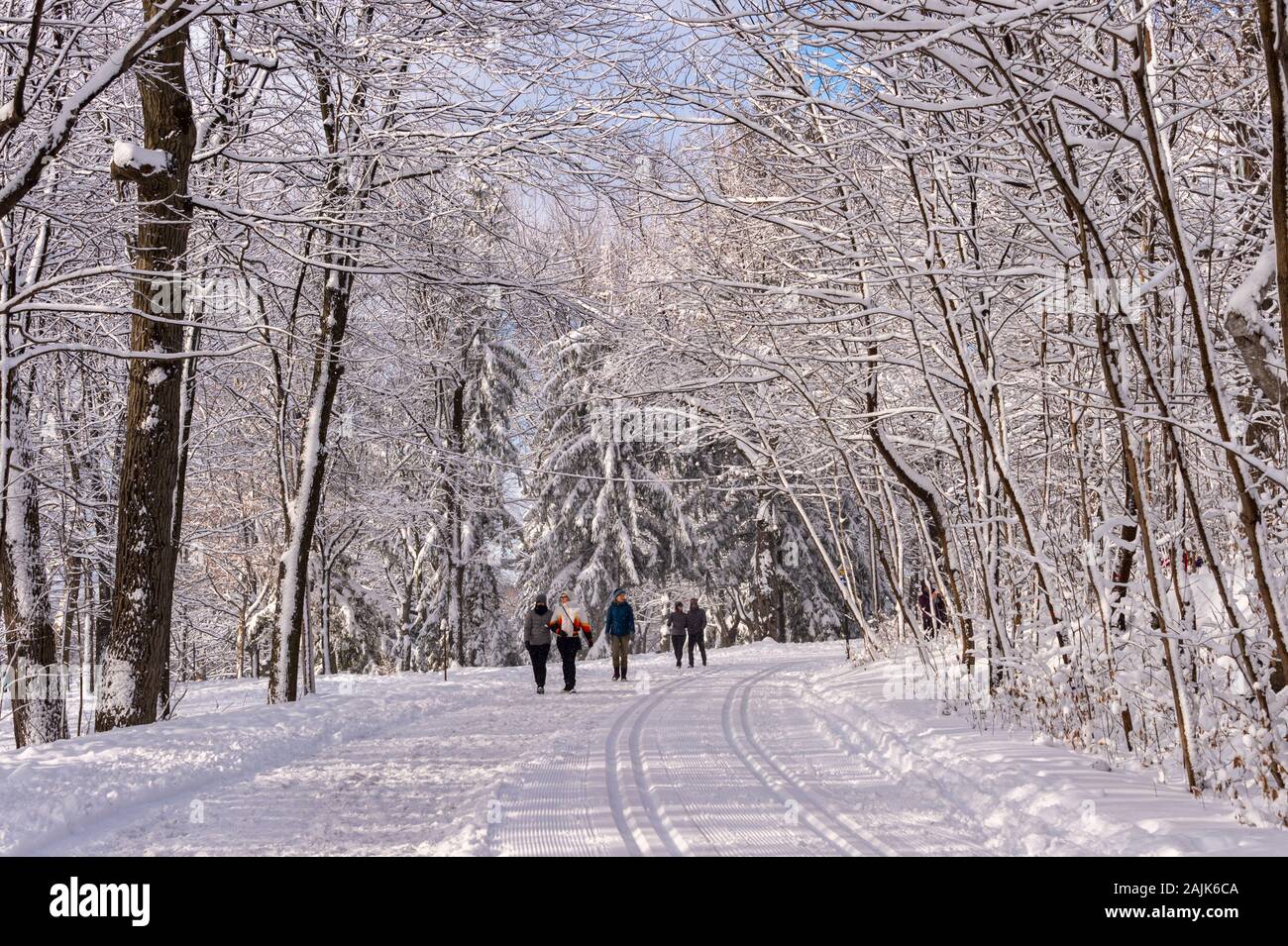 Montreal, CA - 01 Gennaio 2020: la gente che cammina su un sentiero innevato in Montreal del Mount Royal Park (Parc Du Mont-Royal) dopo la tempesta di neve. Foto Stock
