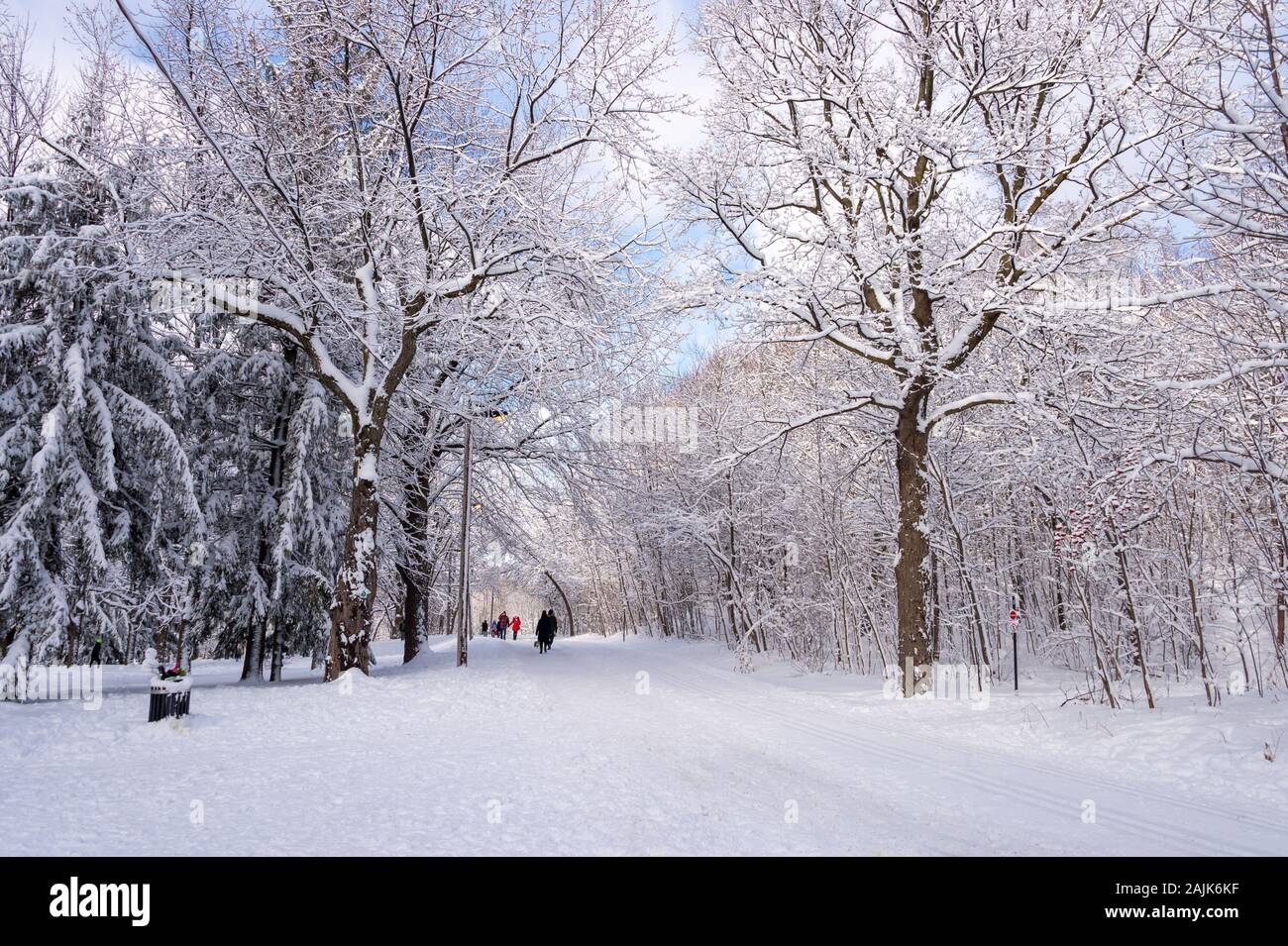 Montreal, CA - 01 Gennaio 2020: la gente che cammina su un sentiero innevato in Montreal del Mount Royal Park (Parc Du Mont-Royal) dopo la tempesta di neve. Foto Stock