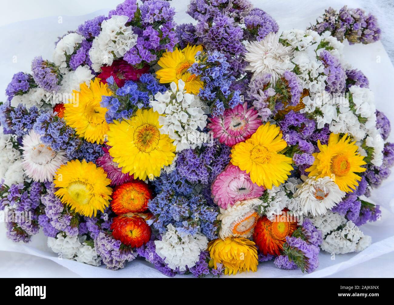 Posia di fiori di campo su sfondo bianco, St Vincent sur Jabron Foto Stock