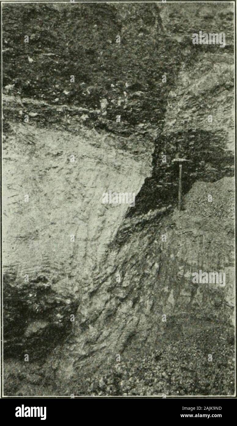 Le transazioni . res miniera è situato presso la stazione di Laura sullato Guantanamo & Western Railroad circa 13^ mi. (2,4 km.) west ofSabanilla e viene azionato dalla Campania Oriental de Minas, di Havanaand Santiago de Cuba. Il manganese-giacimenti si trovano vicino alla base del pendio sud di una dolce collina in salita in corrispondenza di una quota barometrica compresa tra425 e 475 ft. (129 e 144 m.) ^masse di Jasper sono esposte in someof i tagli superiore, ma la roccia locale è principalmente a grana fine, verdastro, 62 manganese-GIACIMENTI IN CUBA tliiii betldetl saiidstuiio (li{)j)ing circa 25° verso sud-est tlic, come mostratonella un pro Foto Stock