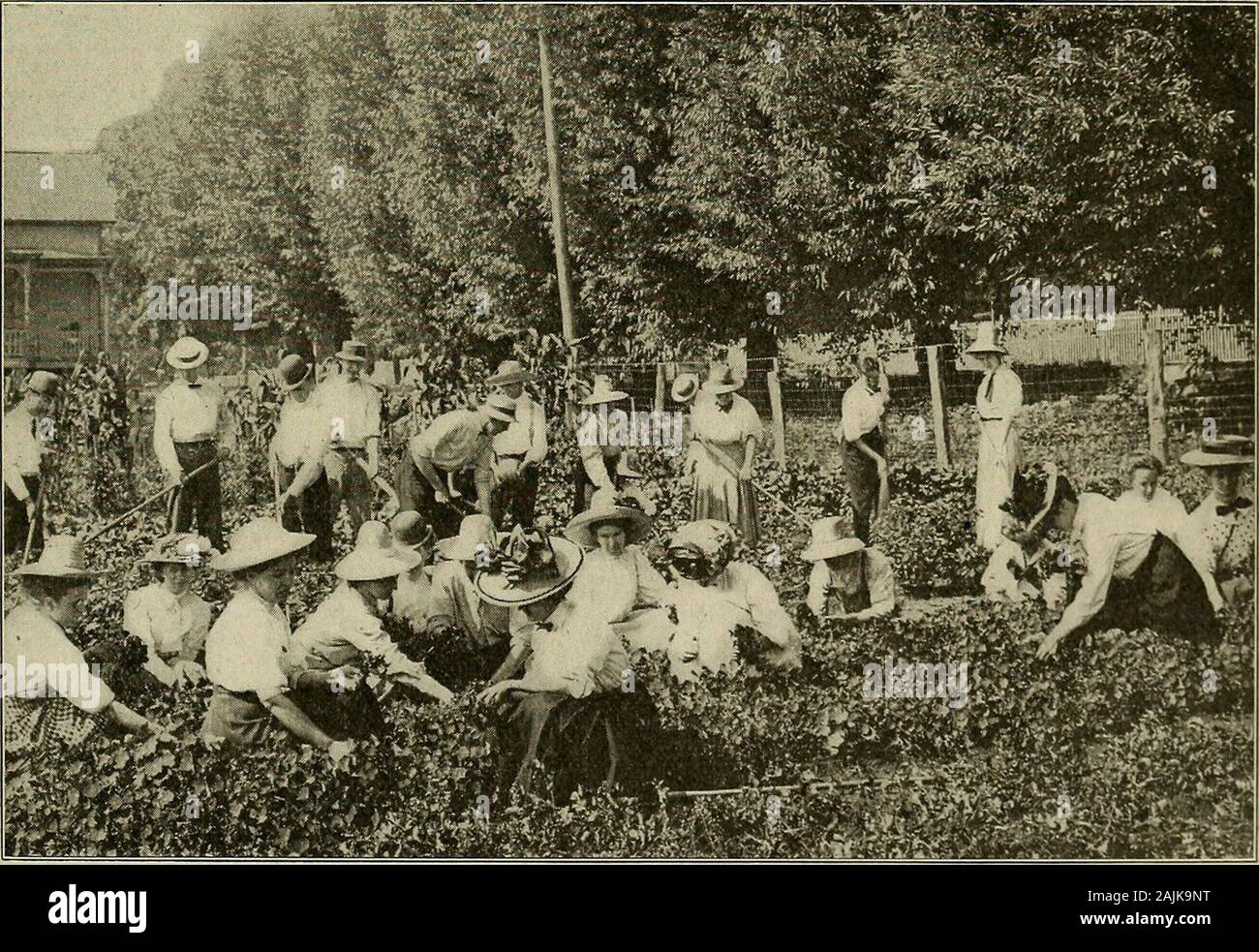 Ohio University bollettino Summer school, 1909 . credits sono tassati,sia da regolari o valutazioni speciali,non ammettono deduzioni di indebitamento. Secioè plan si oppone alla pubblica opinione, allora almeno lasciate che le esenzioni siano limitate a debiti owedresidents dello stesso Stato e a tali asare imponibili ai sensi della legge. Tutti i crediti non è un argomento di pubblico recordto essere esenti da tassazione. Il generaltax da riscuotere su cose che possono bereached infallibilmente dal valutatore. Un solo la registrazione di tassa sui mutui,come in New York e del Minnesota. In nessun caseshould doppia imposizione essere possibile sotto thelaw. Se ipoteche MU Foto Stock