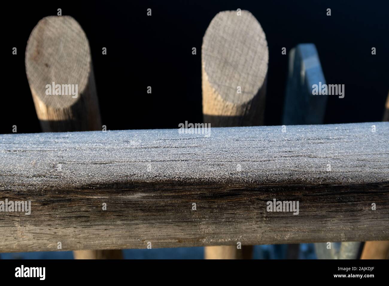 Degli animali e del paesaggio presso lo zoo di Francoforte Germania Foto Stock