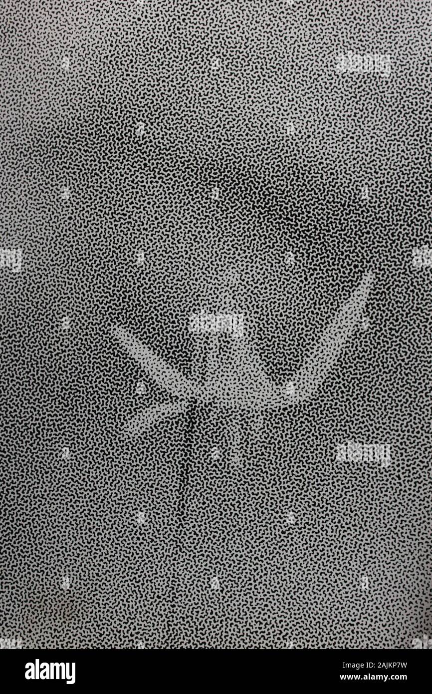 Fine anni settanta la fotografia in bianco e nero di un bel fiore che cresce in un giardino Foto Stock