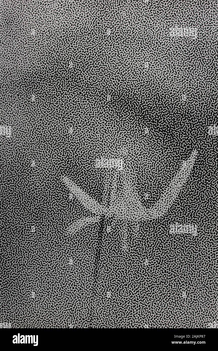 Fine anni settanta la fotografia in bianco e nero di un bel fiore che cresce in un giardino Foto Stock