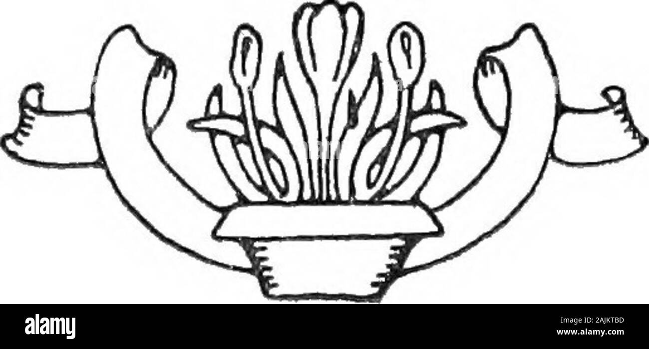 Una joint venture nel 1777 . Ho CHAPTERI WHicK in joint-venture è realizzato un VENTUREIN 1777 CAPITOLO II I ragazzi sono stati presto, over-joyed per vedere un brillante, sun-shiny giorno. La sig.ra Markhamprovided un ampio pranzo, andwith Vemey e il Colonnello davanti alla slitta, e Tom twinsand ben attutiti fino sulretro sedile, partito sped lontano, thesnow scricchiolio sotto le guide.i gemelli parlato, riso e cantato,mentre Tom sat ancora pensando.hanno nuovamente messo in pausa e ^inGermantown guadagno e al di là di esso per in-spect posizioni o per parlare con ofiicers.a Chestnut Hill che ha spinto verso il basso 59 Foto Stock