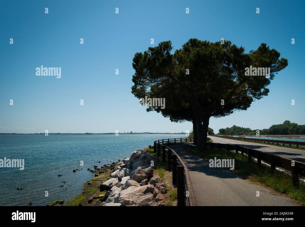 Percorso di bicicletta atto con un unico albero di acacie il collegamento di terraferma e laguna di Venezia a Grado, Italia. La calma del mare mediterraneo sul lato, nessun popolo visibile. Giornata di sole, c Foto Stock