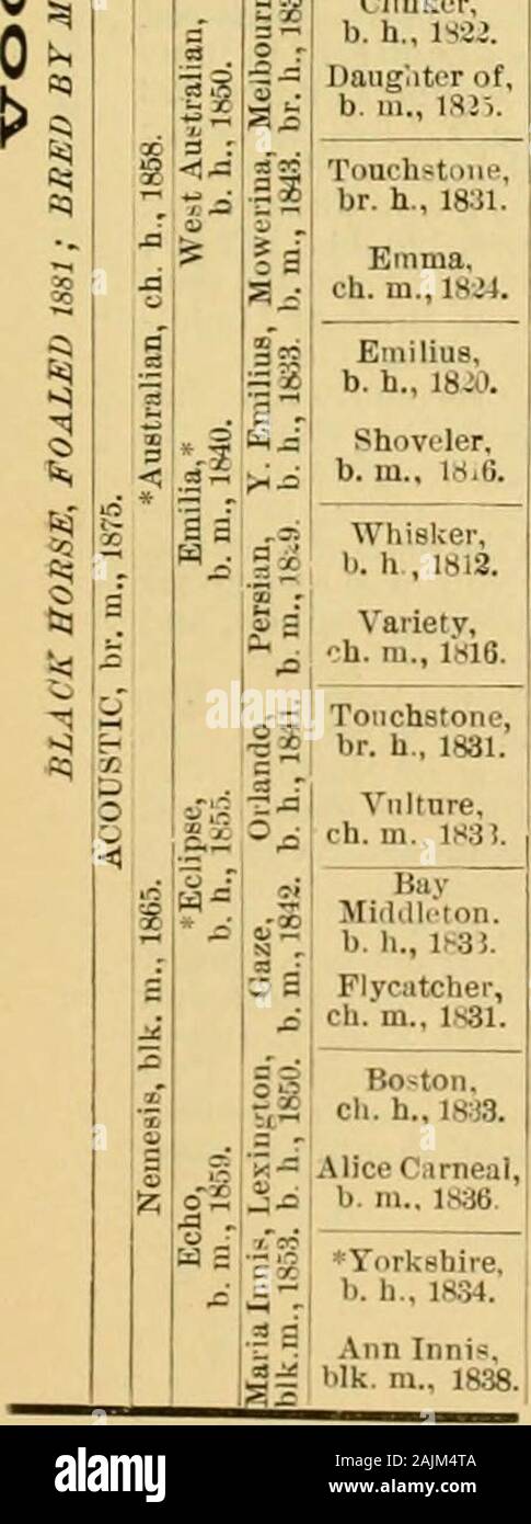 Il cavallo purosangue : la sua origine, come razza e come [a] selezionare lui : con gli allevatori di cavalli' guide : abbracciando un centinaio di tabulati delle genealogie dei principali riproduttori ... . Se 17i4)-Manilla 1777 da Goldfliider 1764 (Snap 1750i. Am. Eclipse 1H14 (Duroc 18(t6i-y. Cameriera di-tbe-Oaks 1817 da Expedition 1795 (PegasusI 1781) .Maid-ol-tbe-Oaks 1801 da "SPREAD EAGLE 1792 volontari (1780)-Annette da*Sliark 1771 (Marske 1750)-Dau. di Rockingham (Partner 1755). I cuochi frusta,I b. h., 1804. I cuochi frusta 1804 (*frusta 1794)-Jane Hunt 1796 da Hamptons Paragon 1788 (Film,PAN 1765)-Moll da "Fignrc 1757 (figura Foto Stock