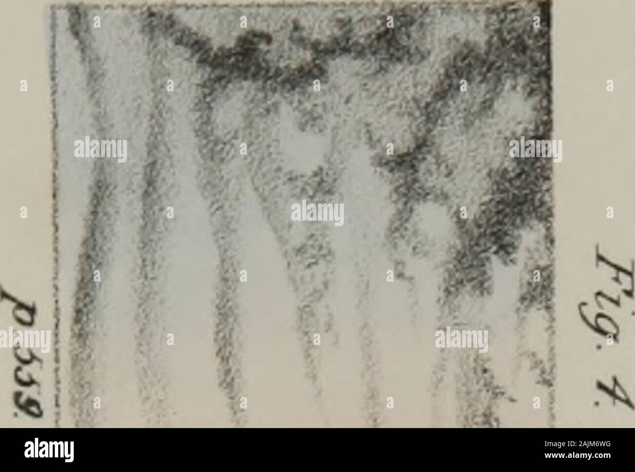 Elementi di anatomia patologica . Foto Stock